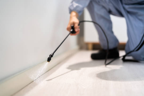 Professional exterminator conducting IPM assessment in Brookridge